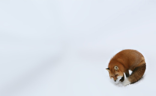1152913 (a): :1920x1184